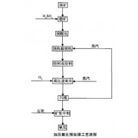 铂思特含砷金矿生物预氧化提金方法，从金矿尾矿中提取金的设备