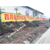 贵州墙体广告安顺农村广告模板聚力钜惠巨划算