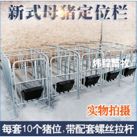 养猪设备厂家定制母猪定位栏 热镀锌母猪定位栏