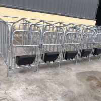 厂家直销养猪设备 猪用限位栏 育肥猪单体栏 母猪产 量大从优