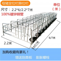 养殖设备 母猪定位栏 定位栏厂家 母猪定位栏价格 品质保证