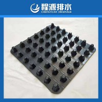塑料排水板凹凸排水板南京工厂供应