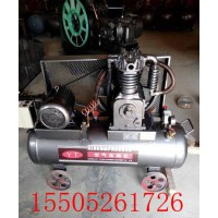 15KW空气压缩机丨W-1.2/30空压机 吹瓶机配套设备