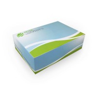 霍乱弧菌核酸检测试剂盒（冻干型、恒温显色法）