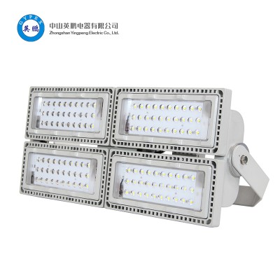 LY8802 LED投光灯 英鹏化工厂 照明 防爆工业灯