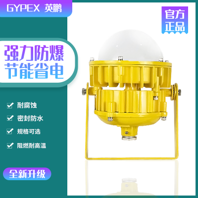 BFC8767-LED防爆灯 化工厂防爆工业灯