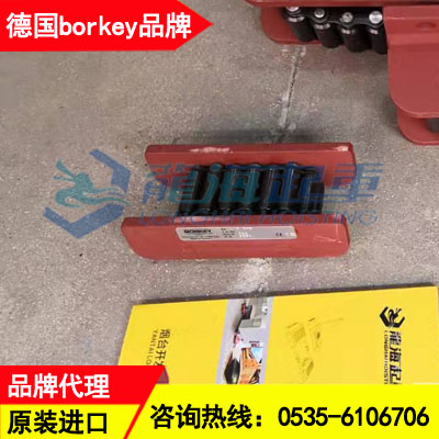 高压加热器托运工具,borkey履带式滚轮小车CE认证