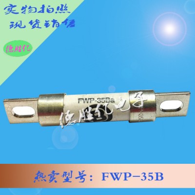 美国巴斯曼快速熔断器FWP-35B 供应