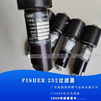 美国Fisher费希尔252-5S/252-7S过滤器