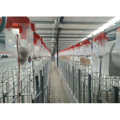 猪场自动化供料系统养猪设备自动料线