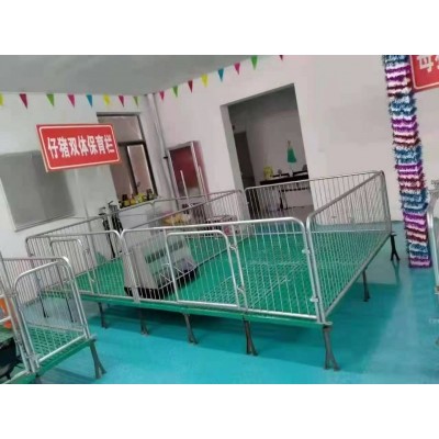 母猪产床双体产床小猪复合保温箱厂家