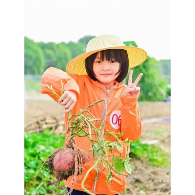 苏州中小学营地教育研学旅行户外拓展活动挖红薯割稻子探索体验