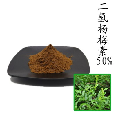 二氢杨梅素50% 藤茶提取物