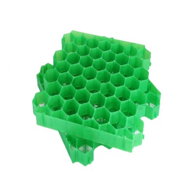 福州HDPE塑料植草格款式新颖