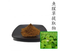 鱼腥草提取物10:1 散装浓缩粉