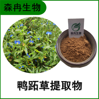 森冉生物 鸭跖草提取物 鸭脚草提取物 植物提取原料粉