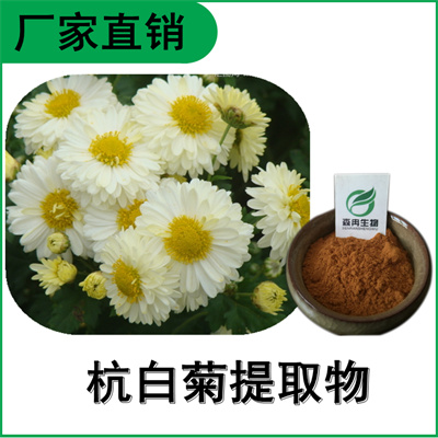 森冉生物 杭白菊提取物 小白菊提取物 植物提取原料粉