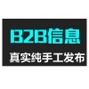 2019年中国工业品B2B市场研究报告