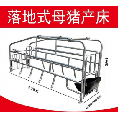 落地式限位栏母猪定位栏厂家直供