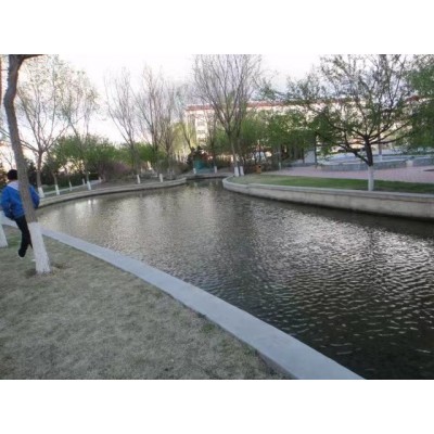 洛阳市瀍河回族区杨湾学校周边苗木移植工程项目竞争性磋商公告