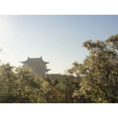z新：中山陵园风景区公共厕所保洁和维护项目竞争性磋商公告
