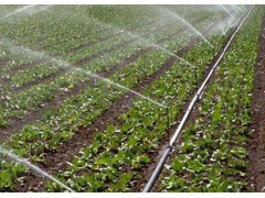 任丘市南瑞节水灌溉有限公司，河北任丘节水灌溉设备厂家