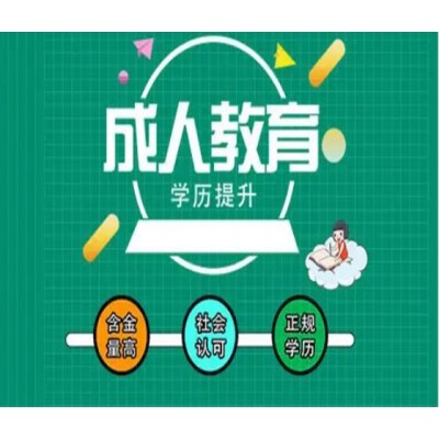 2024年北京学历成考大专本科专业报名考试简章