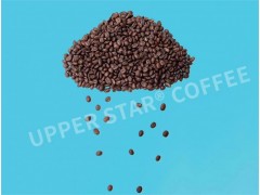 天津咖啡豆进口代理