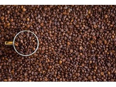 咖啡豆进口需要哪些单证资料