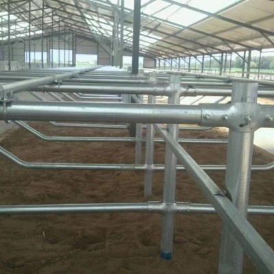 奶牛加厚热镀锌牛卧栏制作 1200型牛卧床批发