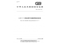 C语言源代码漏洞测试软件项目验收报告