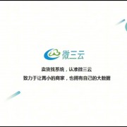 广州微三云数据科技有限公司