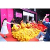 湛江开业舞狮队-隆重庆典-专注表演多年