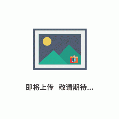 扫描电镜