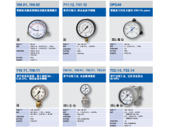 wika 差压表700.01, 700.02