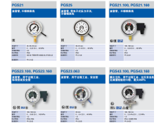 WIKA电接点的压力表PGS21