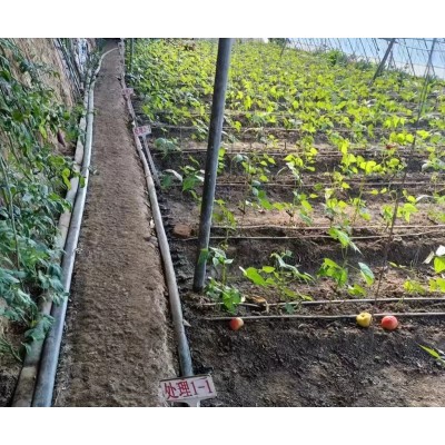 肥料田间实验报告实验示范代理单位经纬度影像资料都有