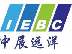 2025年阿布扎比国际海事防务展N DEX