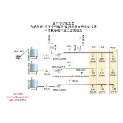 上海水王定制款金矿浮选自动加药系统