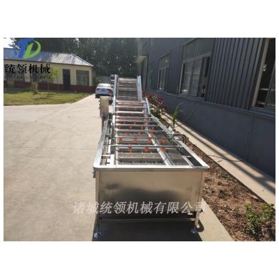 果蔬气泡清洗机 中药材清洗机