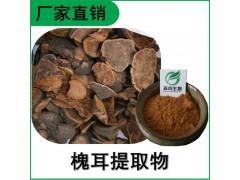 森冉生物 槐耳提取物 槐菌提取物 槐耳多糖