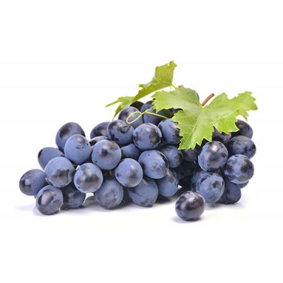 油墨香精 油漆油墨专用香精