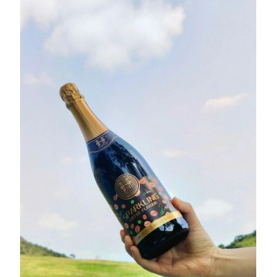 赫尔斯顿咖啡风味含气红葡萄汁