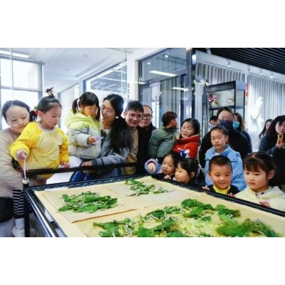 苏州三六六青少年趣味实践营｜喂蚕缫丝桑葚采摘火热报名中