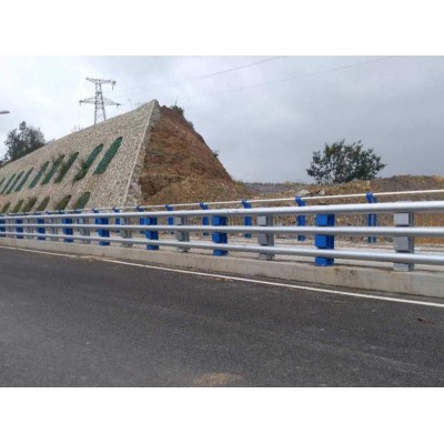 广东护栏厂家市政道路灯光护栏/桥梁防撞护栏/路灯杆一站式定制